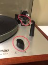 IMG_3005.jpeg