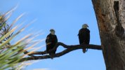 IMG_1042.JPG