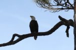 IMG_1051.JPG