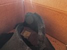 IMG_4375.jpeg