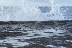 IMG_1324.jpeg
