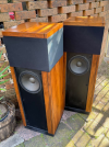 Screenshot 2025-12-08 at 00-03-46 FS RTR DR-1 Dymistatic Speakers - Stereo Home Cinema Headpho...png