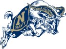Charging_Goat_-_New_NStar_1.jpg