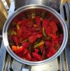 IMG_20251209_150630.jpg