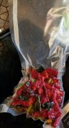 IMG_20251215_121341.jpg