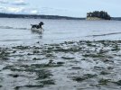 IMG_0191.jpeg