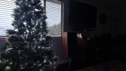 IMG_3884.jpeg