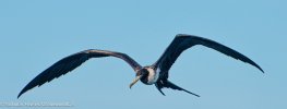 IMG_0245.jpeg