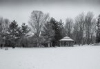 M1002927-LR-2.JPG