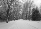 M1002931-LR-2.JPG