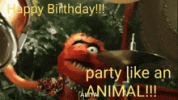 IMG_3188.gif
