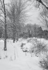 M1002938-LR-2.JPG