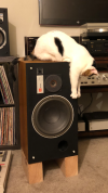 IMG_4336.png IMG_4336.png