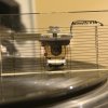 IMG_6075.jpeg