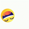 laughing and rolling emoji gif.gif