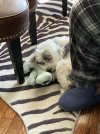 IMG_0628.jpeg