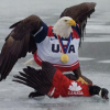 1771942001417.png