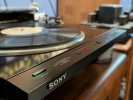 Sony 555 T Master.jpg