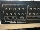 IMG_7412.jpeg
