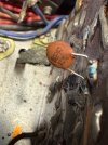 IMG_3510.jpeg