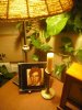 Lenny Lamp.jpg