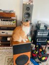 IMG_0274.jpeg