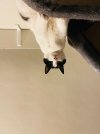 IMG_8261.jpeg