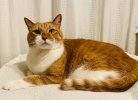 IMG_7425.jpeg