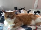 IMG_0445.jpeg