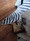 20260403_160454.jpg
