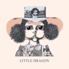 Little Dragon.jpg