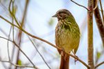 _DSC3512-Edit.jpg