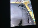 IMG_1261.jpeg