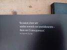 20260427_173056.jpg
