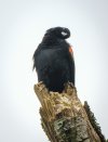 _DSC3850.jpg