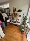 2026-HollinHills-LadderShelves_0881.jpeg