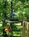 IMG_20260502_114821.jpg