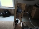 IMG_20260507_115805146.jpg