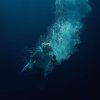 Låpsley - Through Water 3.jpg