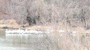 IMG_20260408_160649.jpg