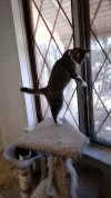 IMG_20260509_155501625.jpg