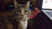 20180411_093807.jpg
