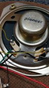 pioneer hawaiian - 5.jpg