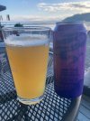 IMG_2031.jpeg
