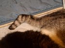 20260513_102330.jpg