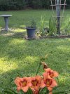 IMG_3031.jpeg