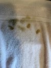 IMG_5885.jpeg