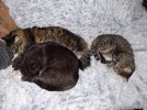 20260521_132626.jpg