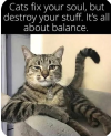 1779811120568.png