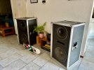 Peavey Project V quick setup.jpeg